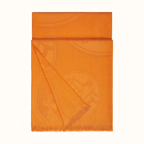 爱马仕/Hermes “藏书章提花”长围巾 H262494S-72