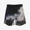 亚历山大麦昆/Alexander McQueen 午夜蓝/浅灰 男士 泳裤 7056064419Q4063 