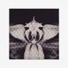 亚历山大麦昆/Alexander McQueen 女士Exploded Orchid机车丝巾象牙色/黑色 7670853001Q5078
