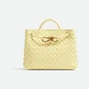葆蝶家/Bottega Veneta Andiamo小号手提包 743568VCPP16821