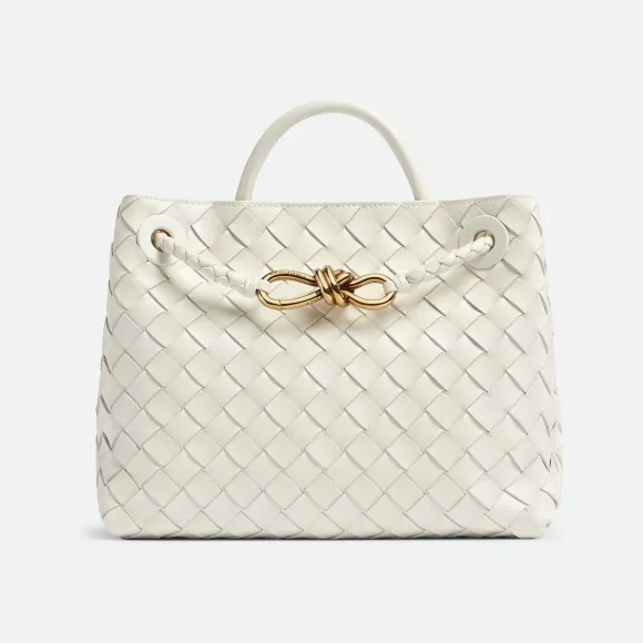 葆蝶家/Bottega Veneta Andiamo小号手提包 743568VCPP19156