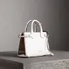 博百利/Burberry 女士 The Banner - 小号 House 格纹拼皮革班纳手袋 (自然色) 39627451