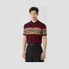 博百利/Burberry 男士 标志性条纹美利奴羊毛 Polo 衫  80294161