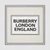 博百利/Burberry 徽标印花丝质方巾 (香草色)  80298171