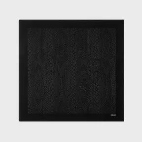 思琳/Celine 男士 桑蚕丝提花头巾 2AWB6686U.38NO.TU