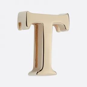 迪奥/Dior My ABCDior“T”字母徽章 浅金色饰面金属 S9183OMET_M196_TU