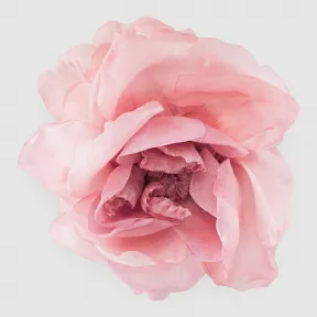 古驰/Gucci 真丝花朵别针 417696 I3967 8161