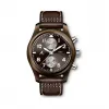 万国/IWC 飞行员系列 自动机械 男表 IW388005
