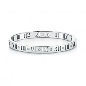 蒂芙尼/Tiffany Atlas® 系列 18K 白金镶钻窄式镂空铰链式手镯 中号 GRP08832