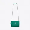 伊夫圣罗兰/Yves Saint laurent 女士 SUNSET中号光滑皮革 442906D420N4409