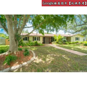 蔻驰/Coach POLO衫 33158 LIL