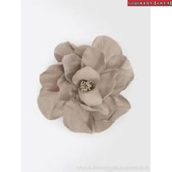 麦丝玛拉/Max Mara 棕色 胸针 6751046106002