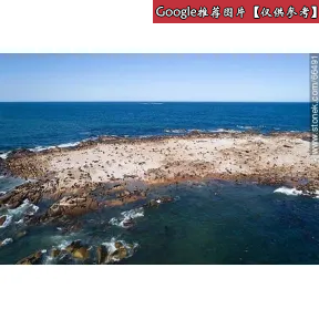 海蓝之谜/La Mer 洁肤乳 66491