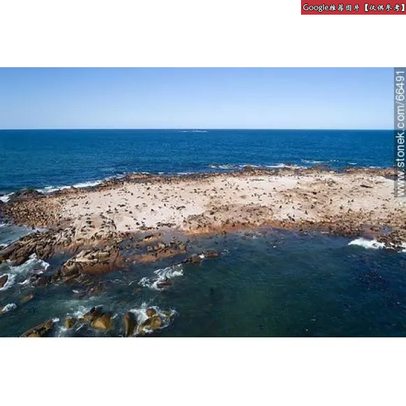 海蓝之谜/La Mer 洁肤乳 66491