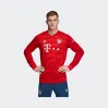 阿迪达斯/Adidas FCB H JSY L 拜仁慕尼黑主场长袖比赛服 DX9250
