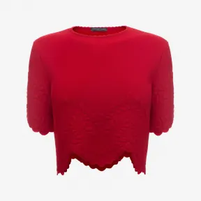 亚历山大麦昆/Alexander McQueen 针织短款上衣 女士 37976411ns 344899Q1RJQ6503