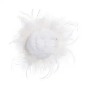 香奈儿/Chanel 白. 山茶花 AA0665_X13159_10601