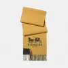 蔻驰/Coach 山羊绒拼色LOGO围巾 12166 MIZ