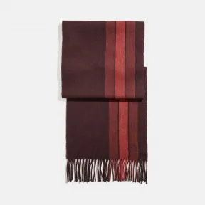 蔻驰/Coach 条纹围巾 21719 NV7