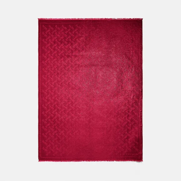 蔻驰/Coach 金属光泽马与马车图案披肩 76407_P1Y