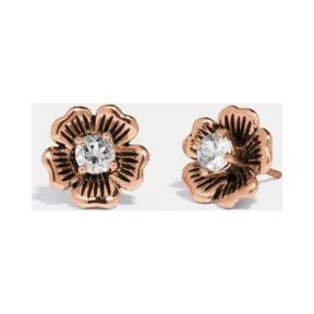 蔻驰/Coach 耳饰 89871-SLV