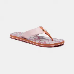 蔻驰/Coach Zoe 人字拖 C2978-PIN