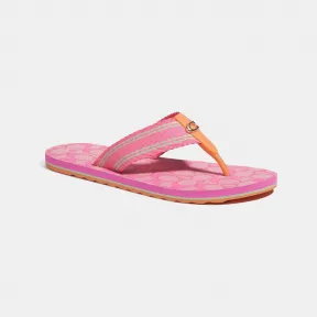 蔻驰/Coach Zoe 人字拖 C2978-QDV