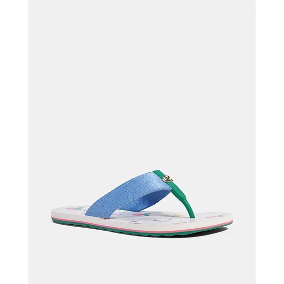 蔻驰/Coach ZOE人字拖 C2978-SDV-8B