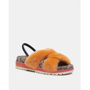 蔻驰/Coach TALLY鞋 C5885-BTR