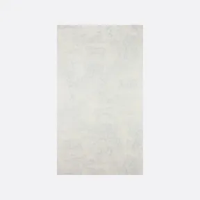 迪奥/Dior 装饰性墙画/ 壁画  HYW01PPJ1U-C520