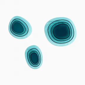 施华洛世奇/Swarovski 软池塘托盘套装（3），绿色 5485504