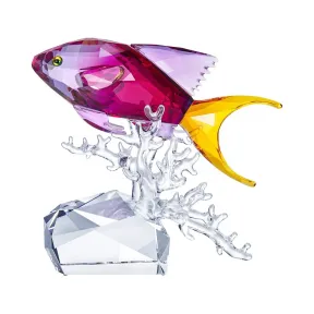 施华洛世奇/Swarovski 花鮨 5494699