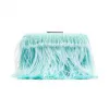  钉珠羽毛流苏手包 CL19YSFB2
