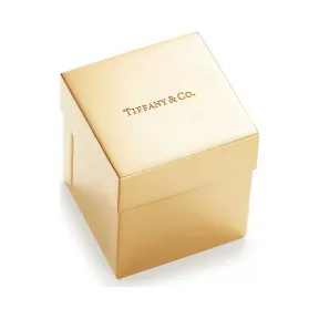 Everyday Objects 系列镀 18K 黄金银质蒂芙尼礼品盒  60558817