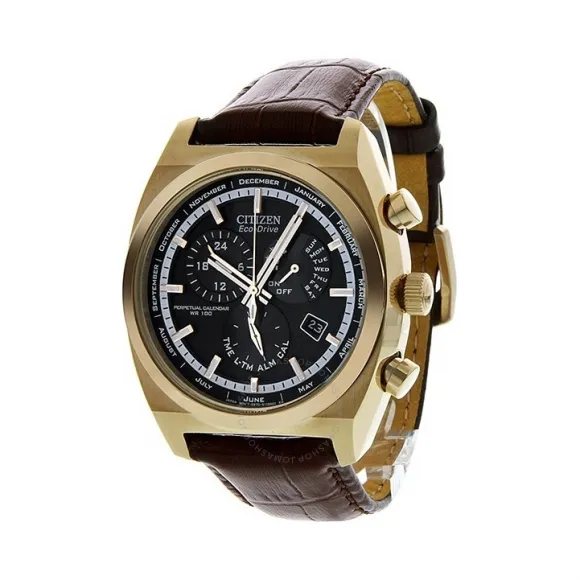 citizen-eco-drive-perpetual-calendar-bl8123-03e